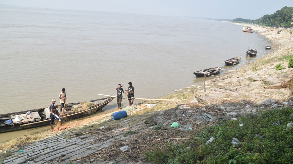 রাজশাহীর চারঘাট উপজেলার ইউসুফপুরে পদ্মা নদীতে মাছ ধরার পর জাল থেকে ময়লা-আবর্জনা পরিষ্কার করছেন জেলেরা। প্রায় এক হাজার হাত লম্বা ও ২০ হাত বহরের এ জালে বাগাড়, রুই, কাতলাসহ পদ্মার বিভিন্ন প্রজাতির মাছ ধরা পড়ে। ছবি: মিলন শেখ