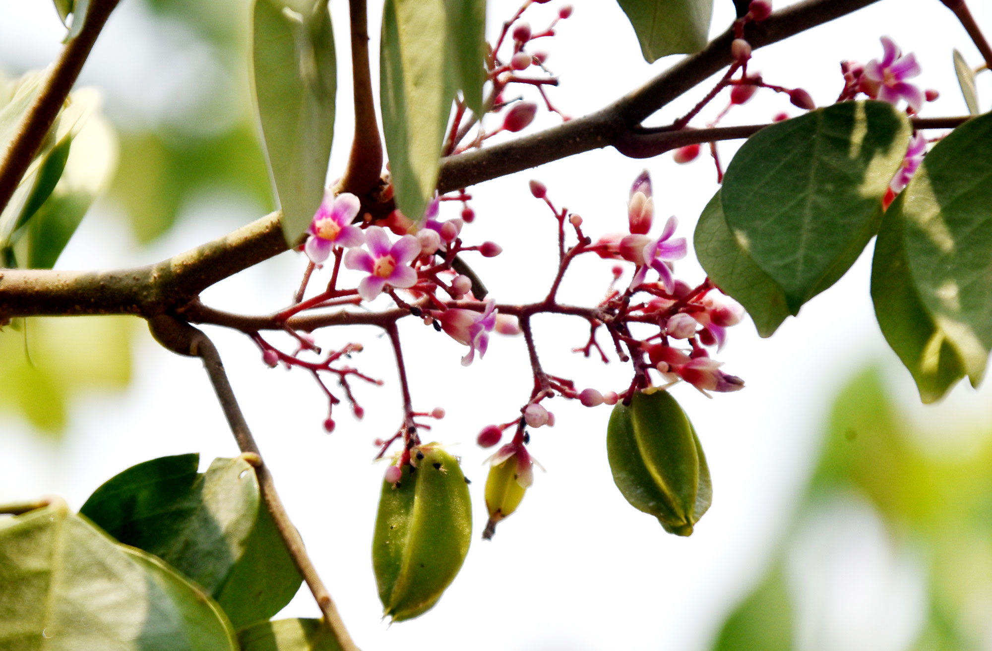 দিনের ছবি (০৮ অক্টোবর, ২০২৬)