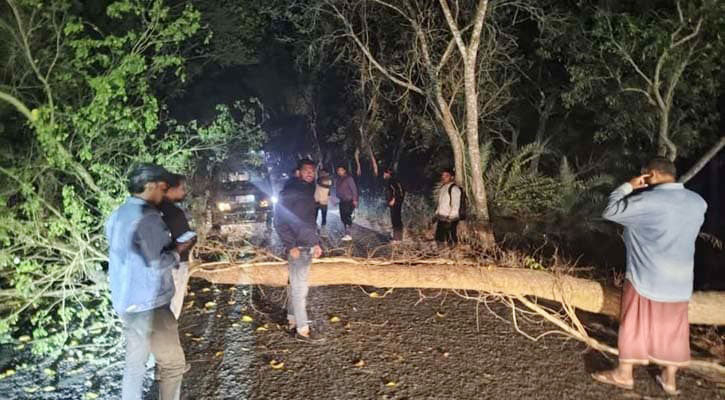 তাড়াশে গাছ ফেলে রাস্তা অবরোধ করে ডাকাতির চেষ্টা