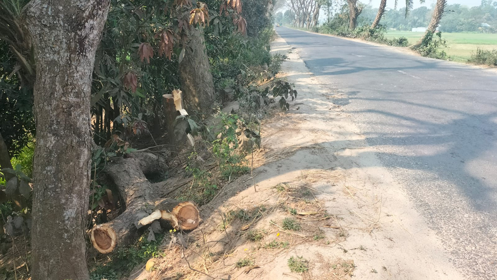 সাঁথিয়ায় সড়কে গাছ ফেলে ৩০ গাড়িতে ডাকাতি