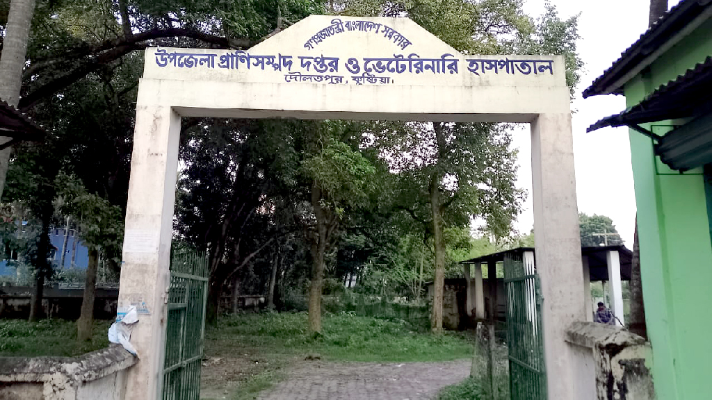 দৌলতপুরে প্রাণিসম্পদ কার্যালয়: ১১ পদের ৯টি শূন্য, ২ জনের একজন ছুটিতে, ভোগান্তি