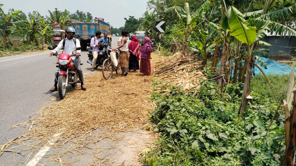 সড়কে খড় শুকাতে গিয়ে মাইক্রোবাসের ধাক্কায় যুবক নিহত