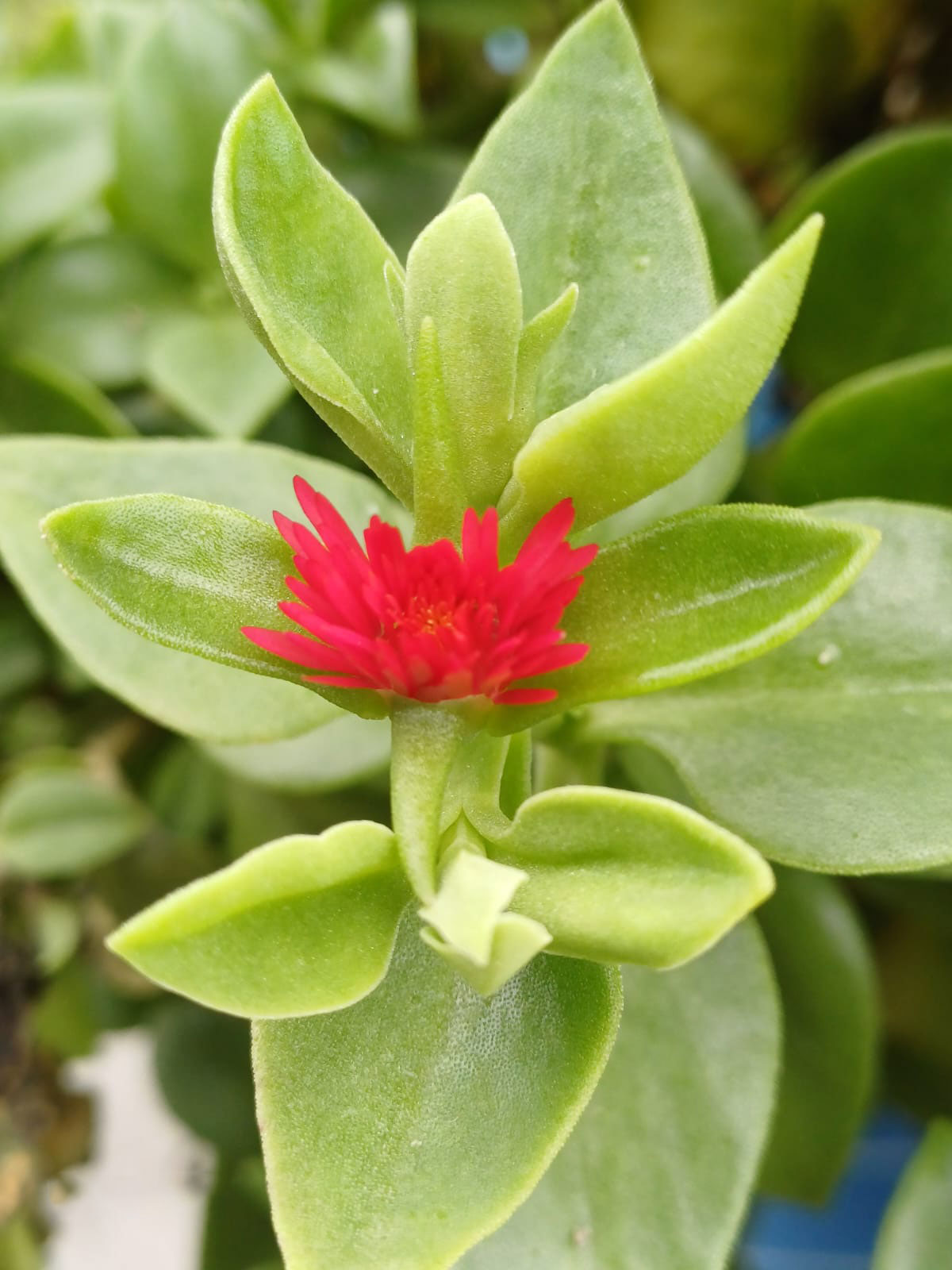 দিনের ছবি (৮ আগস্ট, ২০২৫)