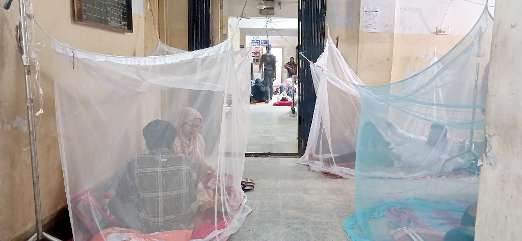 চাঁপাইনবাবগঞ্জে ডেঙ্গুর প্রকোপ এখন গ্রামেও
