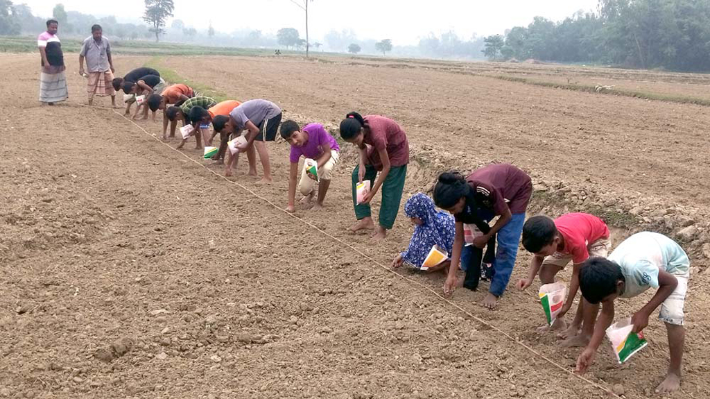 ‘চড়ুইভাতি’র বিনিময়ে আগাম ভুট্টা রোপণ করছে ফুলবাড়ীর খুদে কৃষকের দল