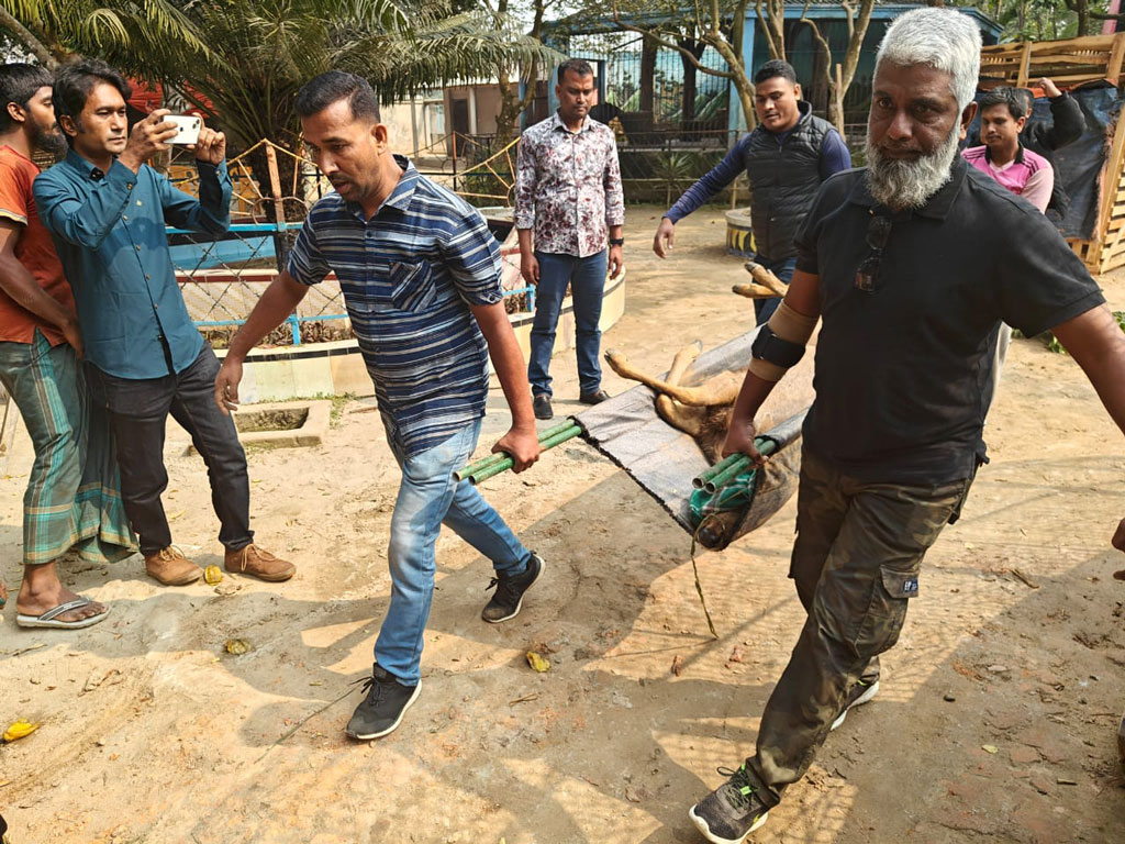 দিনাজপুরের স্বপ্নপুরীতে ২য় দফায় ৫৫ প্রাণী জব্দ, চিড়িয়াখানা বন্ধ ঘোষণা