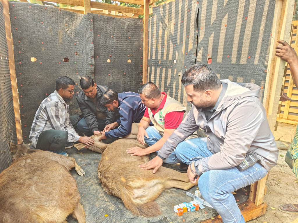 দিনাজপুরের স্বপ্নপুরীতে দ্বিতীয় দফায় ৫৫ প্রাণী জব্দ, চিড়িয়াখানা বন্ধ ঘোষণা। ছবি: আজকের পত্রিকা