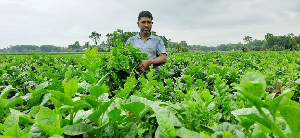 দিনের ছবি (২৩ সেপ্টেম্বর, ২০২৫)