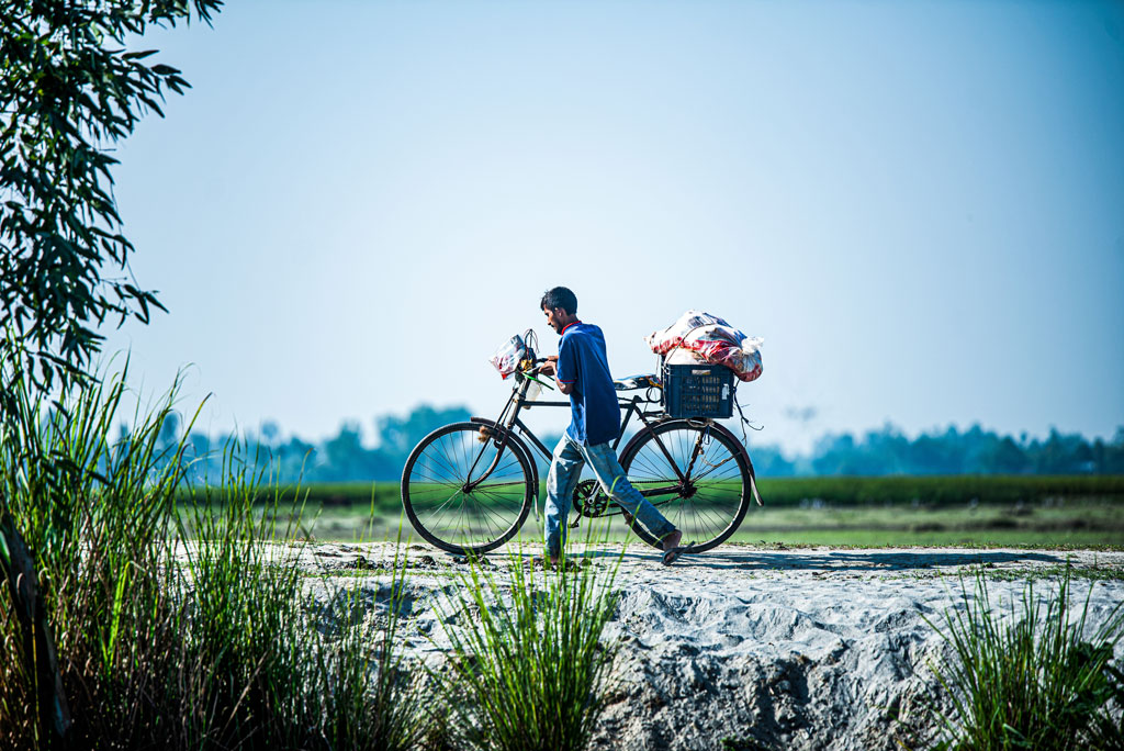 দিনের ছবি (২৪ নভেম্বর, ২০২৫)