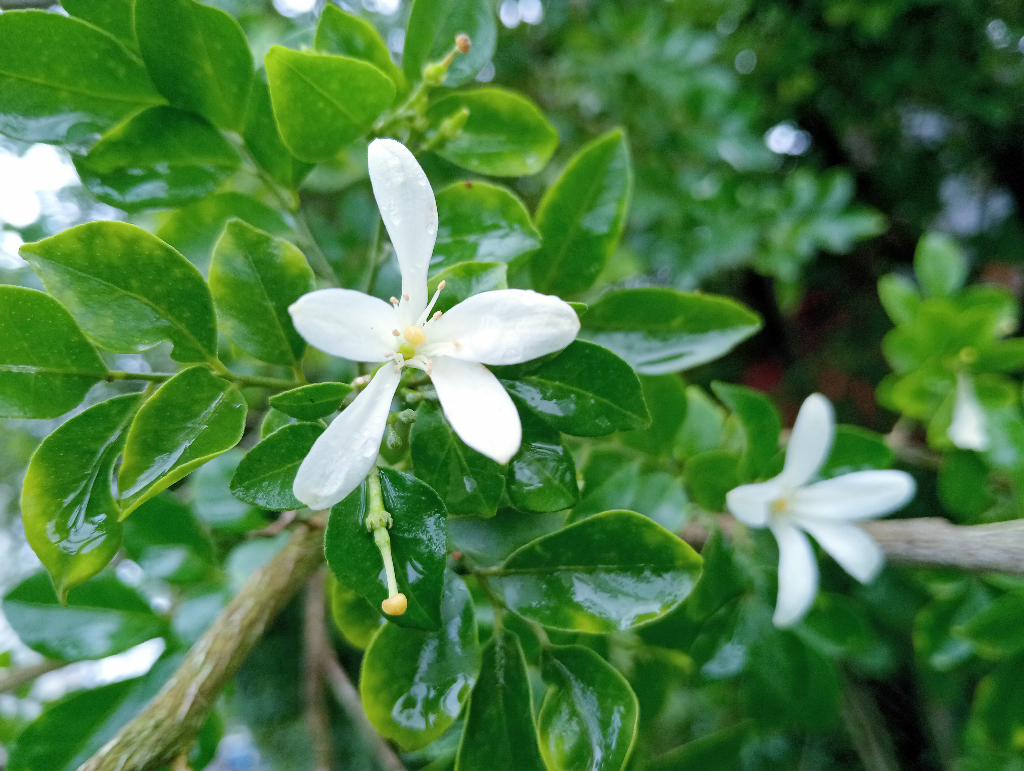 দিনের ছবি (২৫ জুলাই, ২০২৬)