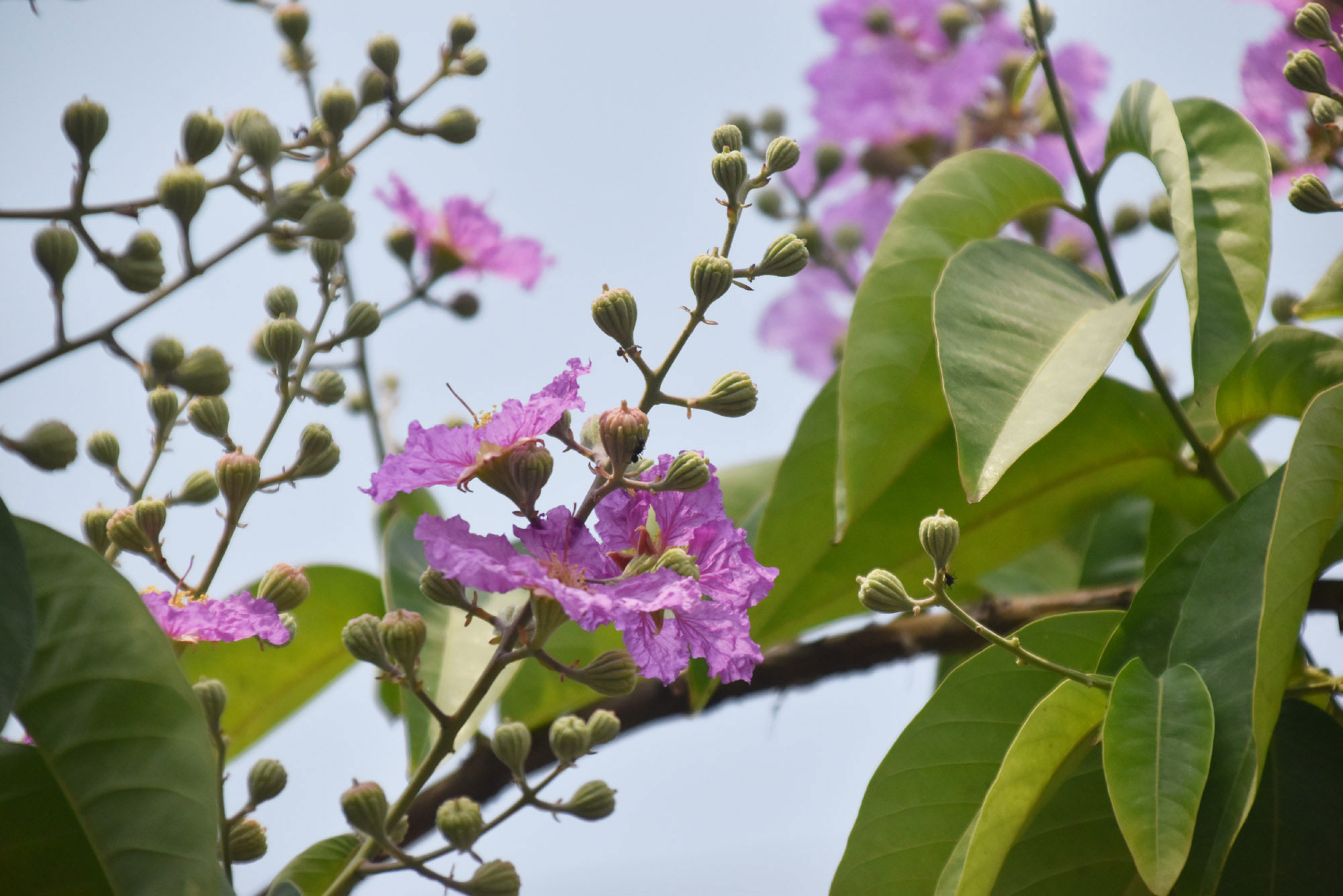 দিনের ছবি (১২ এপ্রিল, ২০২৬)