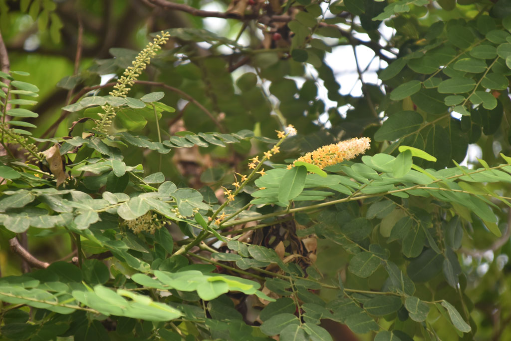 দিনের ছবি (৩০ জুন, ২০২৬)