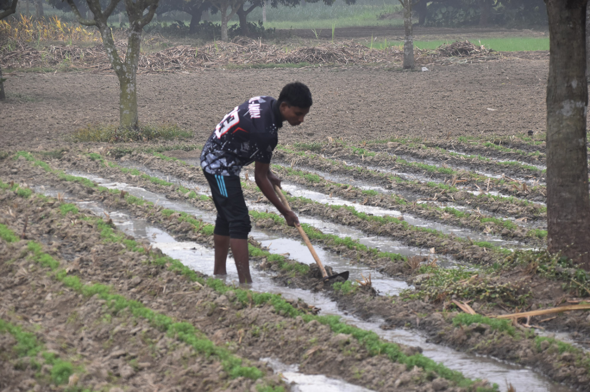 দিনের ছবি (২ জানুয়ারি , ২০২৬)