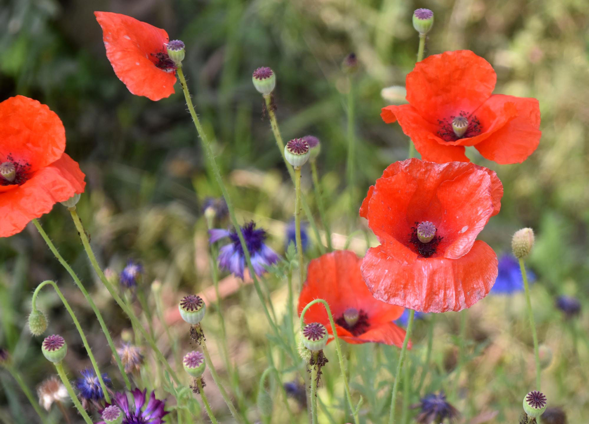 দিনের ছবি (০৬ মার্চ ২০২৬)