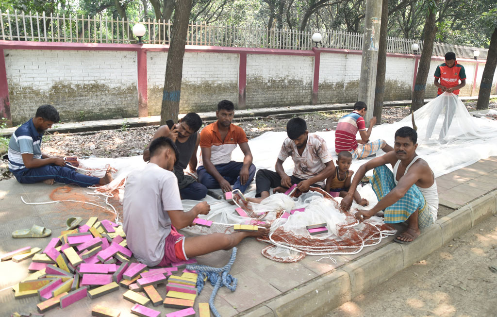 পদ্মা নদীর পানি কখনো বাড়ছে আবার কখনো কমছে—এই ওঠানামার মধ্যেই ব্যস্ত সময় কাটাচ্ছেন স্থানীয় জেলেরা। নদীর তীরঘেঁষা রাস্তায় গাছের ছায়ায় বসে তাঁরা নতুন জাল তৈরির কাজে মগ্ন। আজ সকালে শ্রীরামপুর এলাকা থেকে তোলা। ছবি: মিলন শেখ