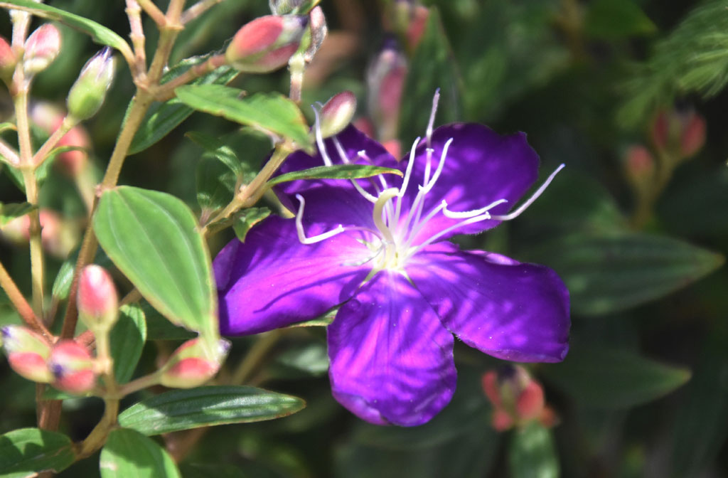 দিনের ছবি (২৬ জুলাই, ২০২৬)