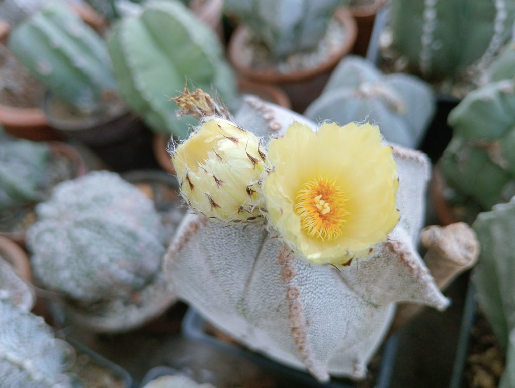 দিনের ছবি (১৯ এপ্রিল, ২০২৬)