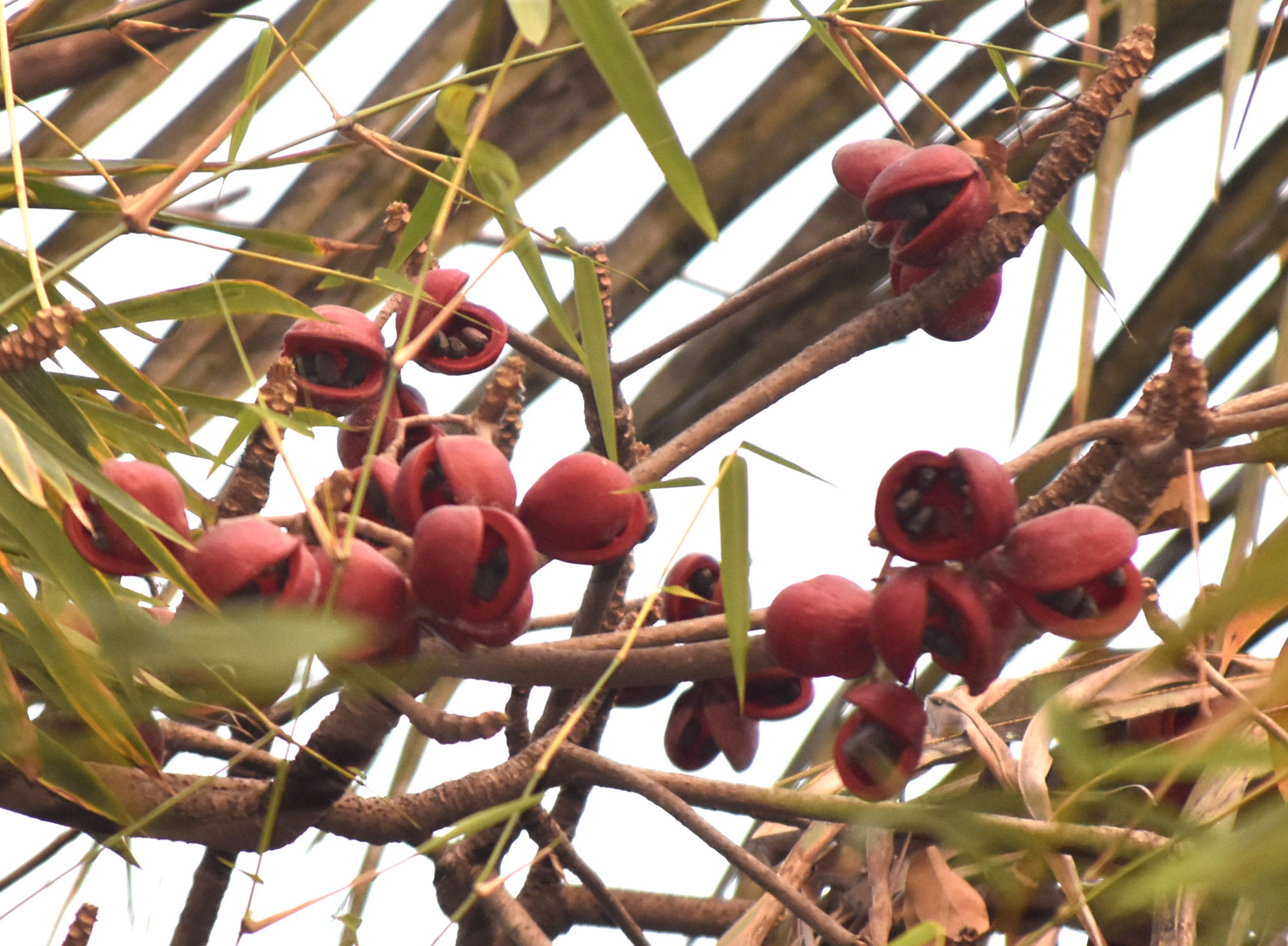 দিনের ছবি (০৯ ফেব্রুয়ারি ২০২৬)