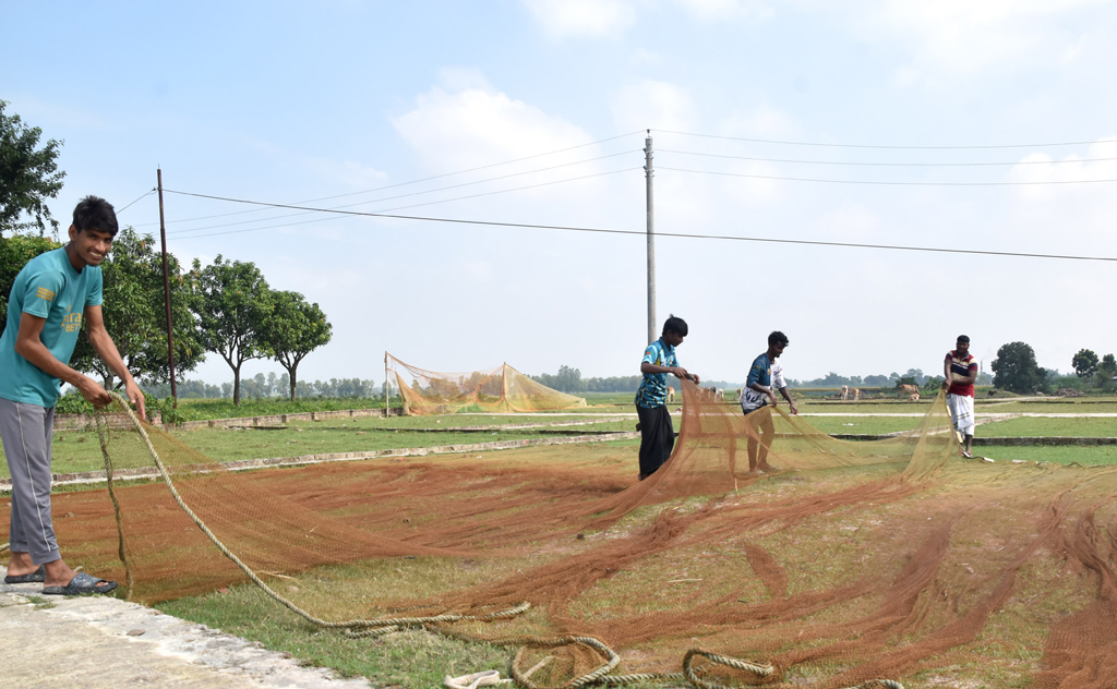 শেষরাতের মাছ ধরা শেষে ভোরের আলো ফুটতেই ভেজা জাল নিয়ে মাঠে হাজির গোদাগাড়ীর জেলেরা। সাড়োইল গ্রামের বিস্তীর্ণ সবুজ মাঠে যত্ন করে জাল শুকানোর এই দৃশ্য শ্রমজীবী মানুষের জীবনের এক চিরায়ত ছবি। রাজশাহীর গোদাগাড়ী উপজেলার সাড়োইল গ্রাম থেকে তোলা। ছবি: মিলন শেখ