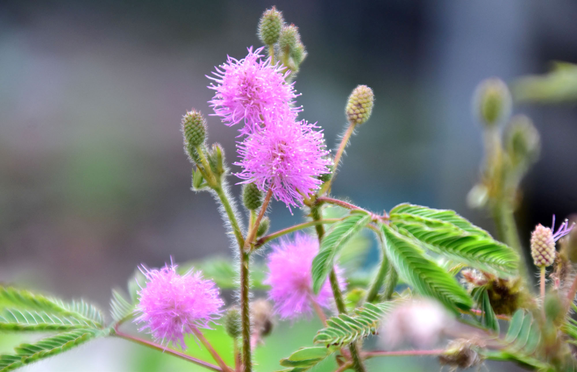 দিনের ছবি (২৩ আগস্ট, ২০২৫)