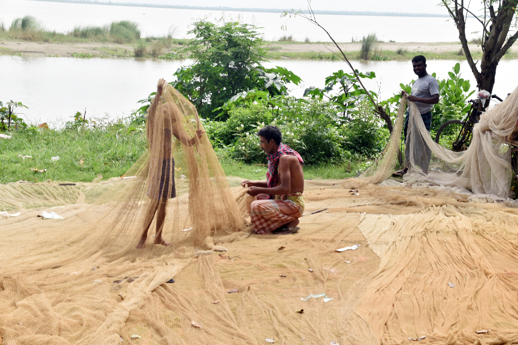 পদ্মা নদীতে মাছ ধরার পর আলুপট্টি এলাকায় নদীর তীরে জাল শুকাতে দিয়েছেন জেলেরা। পাশাপাশি নাইলনের সুতা ও জাল সেলাইয়ের সুই দিয়ে ছেঁড়া জাল মেরামত করছেন তাঁরা। প্রায় ৩০০ হাত দীর্ঘ এই জালে বিভিন্ন ধরনের মাছ ধরা হয়। রাজশাহী নগরীর আলুপট্টি এলাকায় পদ্মা নদীর তীর থেকে তোলা। ছবি: মিলন শেখ