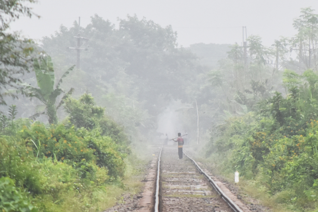 দেশের উত্তরাঞ্চলে তাপমাত্রা কমছে। রাজশাহী শহরেও শীতের আবহাওয়া বইতে শুরু করেছে। বিশেষত ভোরের দিকে হিমেল হাওয়া ও ঘন কুয়াশার উপস্থিতি শীতের আগমনকে স্পষ্ট করে তুলছে। আজ সকালে নগরীর ২৬ নম্বর ওয়ার্ডের জামালপুর রেললাইনের পাশ থেকে তোলা। ছবি: মিলন শেখ