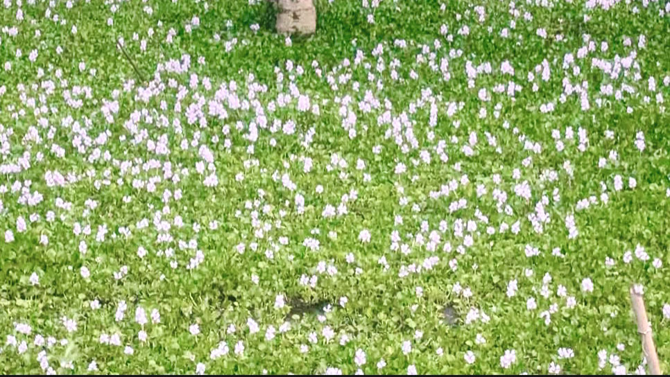 দিনের ছবি (২৩ এপ্রিল, ২০২৬)