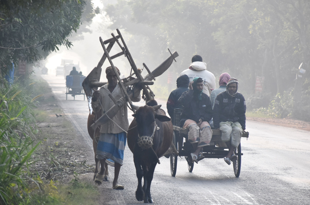 কুয়াশা ভরা সকালে নতুন আবাদের জন্য কৃষক মই, লাঙল, গরু নিয়ে যাচ্ছেন মাঠে। রাজশাহীর পবা উপজেলার পারিলা ইউনিয়নের আশরাফ মোড় এলাকার বাইপাস রোড থেকে তোলা। ছবি: মিলন শেখ
