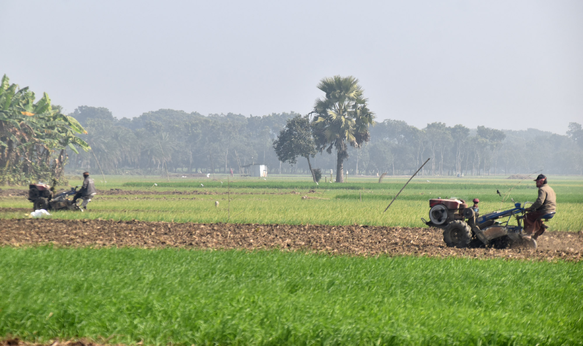 নতুন আবাদের প্রস্তুতি চলছে। সকাল থেকে হ্যারো মেশিন দিয়ে জমিতে কাজ করছেন কৃষকেরা। ছবিটি রাজশাহীর পুঠিয়া উপজেলার বেলপুকুর ইউনিয়নের একটি মাঠ থেকে তোলা। ছবি: মিলন শেখ
