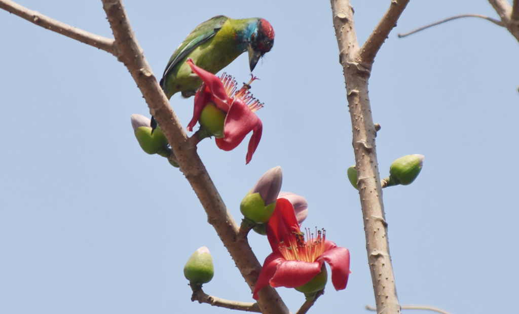 দিনের ছবি (০২ মার্চ ২০২৬)