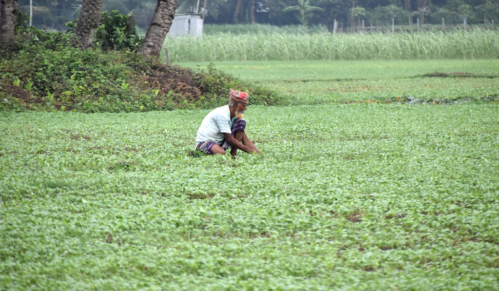 দিনের ছবি (৩ মে, ২০২৬)