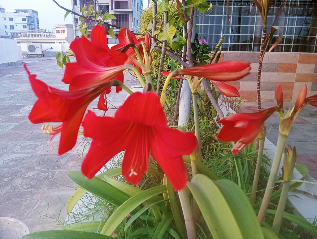 দিনের ছবি (১৪ মার্চ ২০২৬)