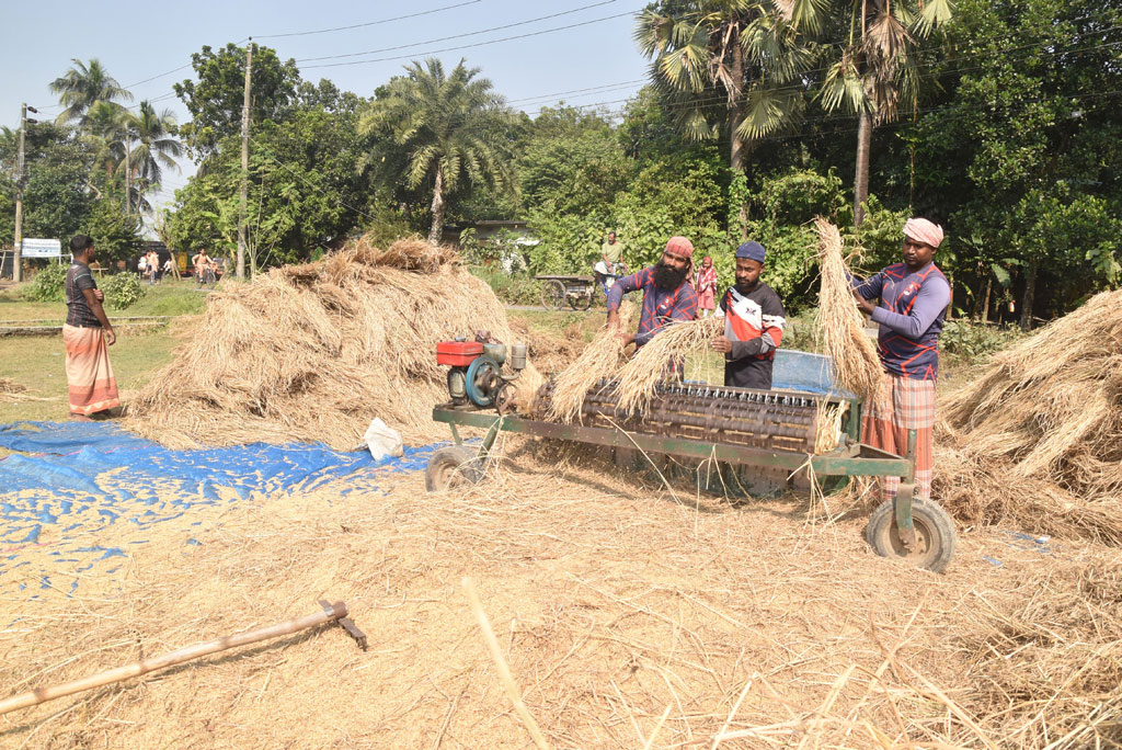 বরেন্দ্র অঞ্চলের বিভিন্ন স্থানে চলছে ধান কাটাই-মাড়াইয়ের কাজ। খোলা মাঠে মেশিনে ধান মাড়াই করছেন কৃষক-শ্রমিক। আজ সকালে রাজশাহীর পবা উপজেলা নওহাটা পৌরসভার ভূগরইল এলাকায়। ছবি: মিলন শেখ