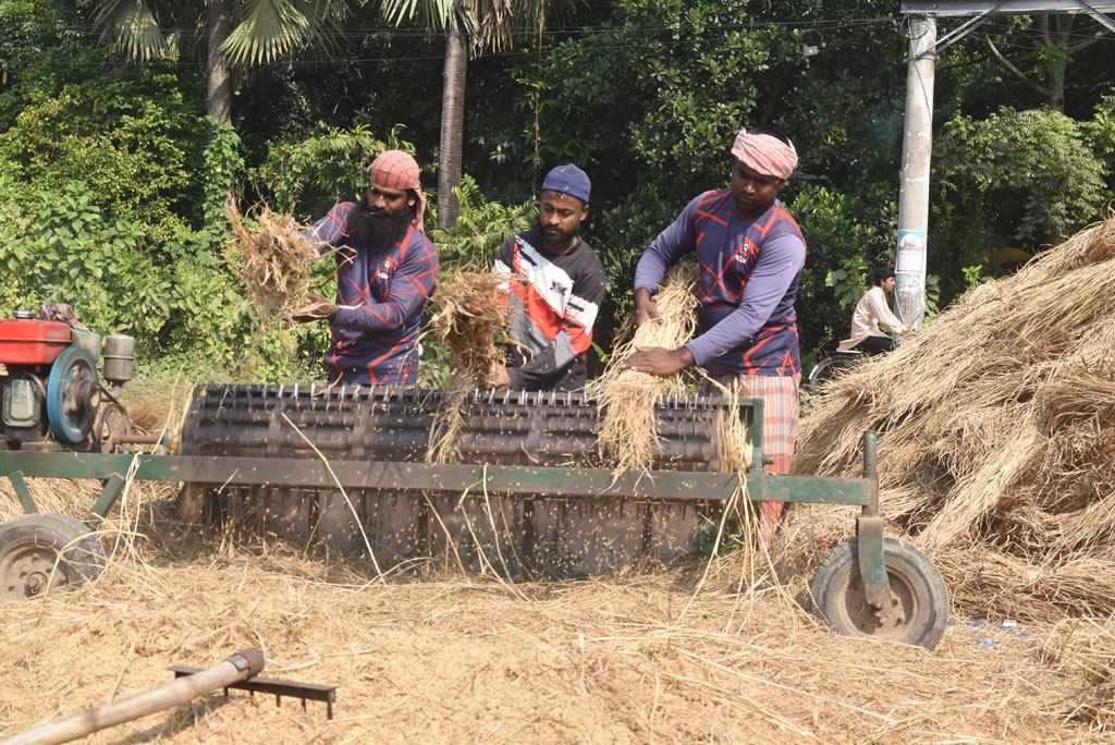 বরেন্দ্র অঞ্চলের বিভিন্ন স্থানে চলছে ধান কাটাই-মাড়াইয়ের কাজ। খোলা মাঠে মেশিনে ধান মাড়াই করছেন কৃষক-শ্রমিক। আজ সকালে রাজশাহীর পবা উপজেলা নওহাটা পৌরসভার ভূগরইল এলাকায়। ছবি: মিলন শেখ