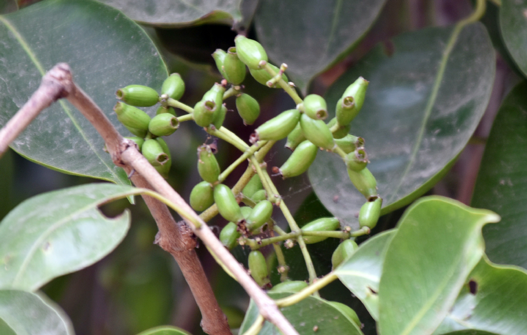 দিনের ছবি (২৫ এপ্রিল, ২০২৬)