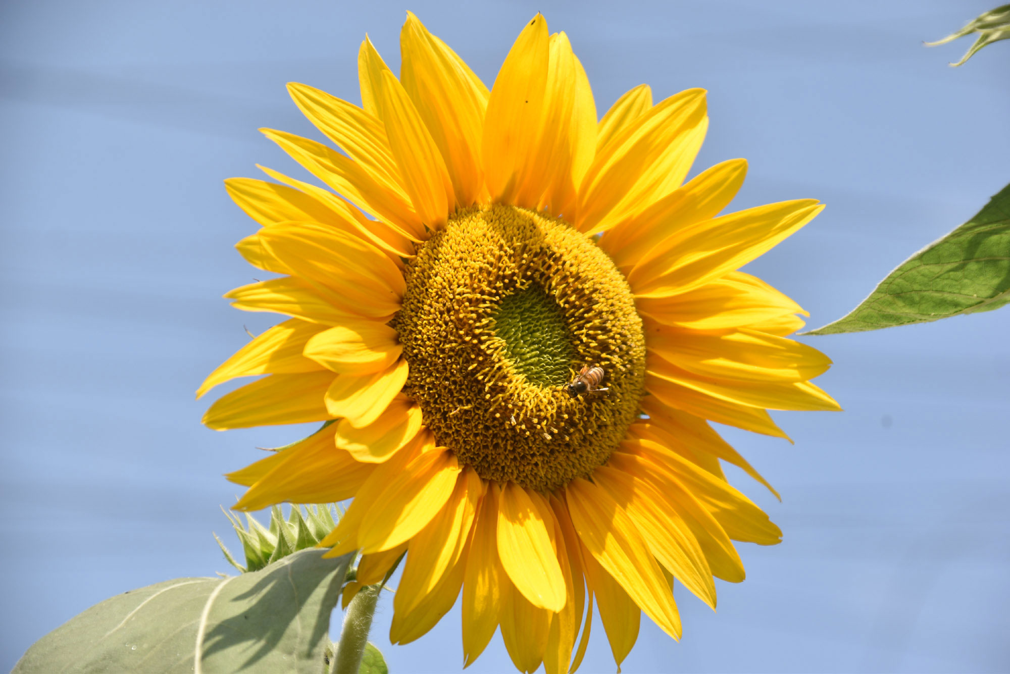 দিনের ছবি (৪ এপ্রিল, ২০২৬)