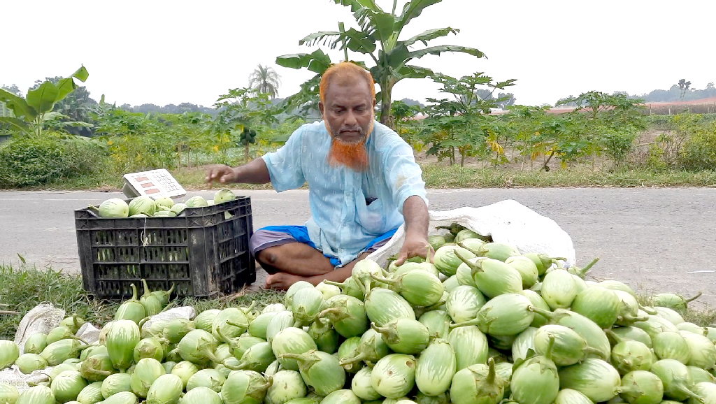 দিনের ছবি (২৪ সেপ্টেম্বর, ২০২৫)