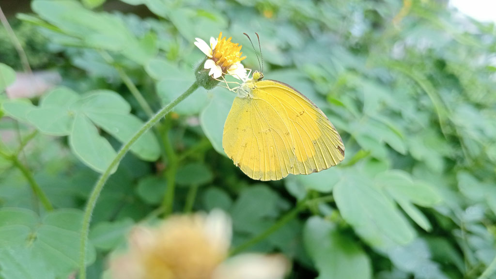 দিনের ছবি (১৪ জুলাই, ২০২৬)