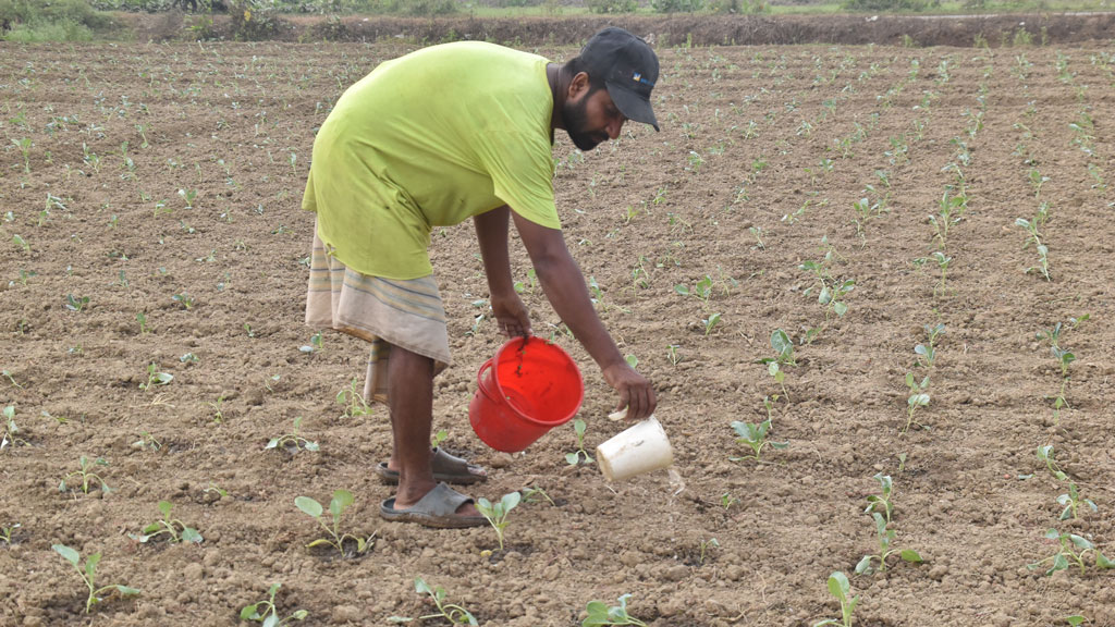 দিনের ছবি (২৭ অক্টোবর, ২০২৫)