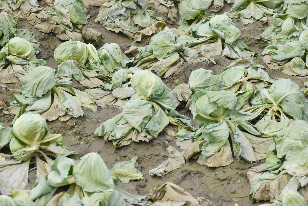 দিনের ছবি (৬ নভেম্বর ২০২৫)