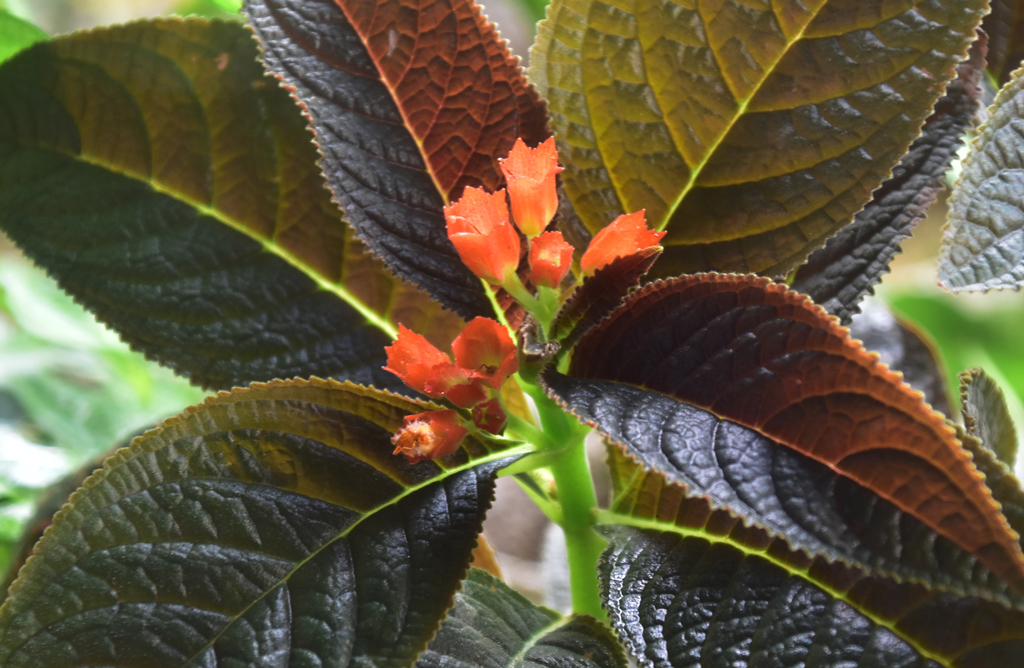 দিনের ছবি (১৬ আগস্ট, ২০২৫)