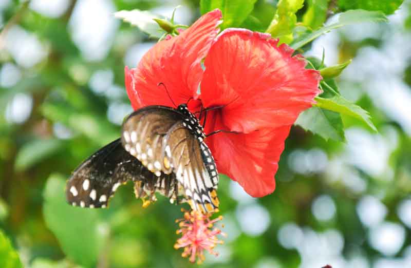 দিনের ছবি (১৪ জুলাই, ২০২৫)