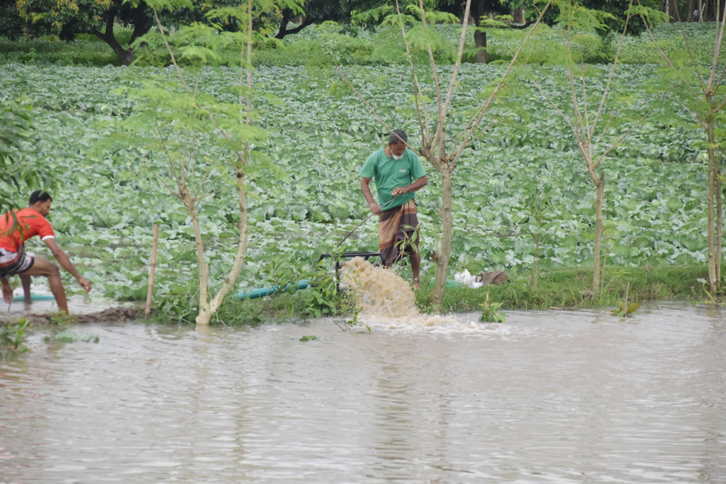 বৃষ্টির পানিতে তলিয়ে গেছে বাঁধাকপির জমি। সেই জমিতে কৃষকেরা শ্যালো মেশিন দিয়ে পানি সরানোর চেষ্টা করছেন। রাজশাহীর পবা উপজেলার দামকুড়া ইউনিয়নের সুলিতলা গ্রাম থেকে তোলা। ছবি: মিলন শেখ