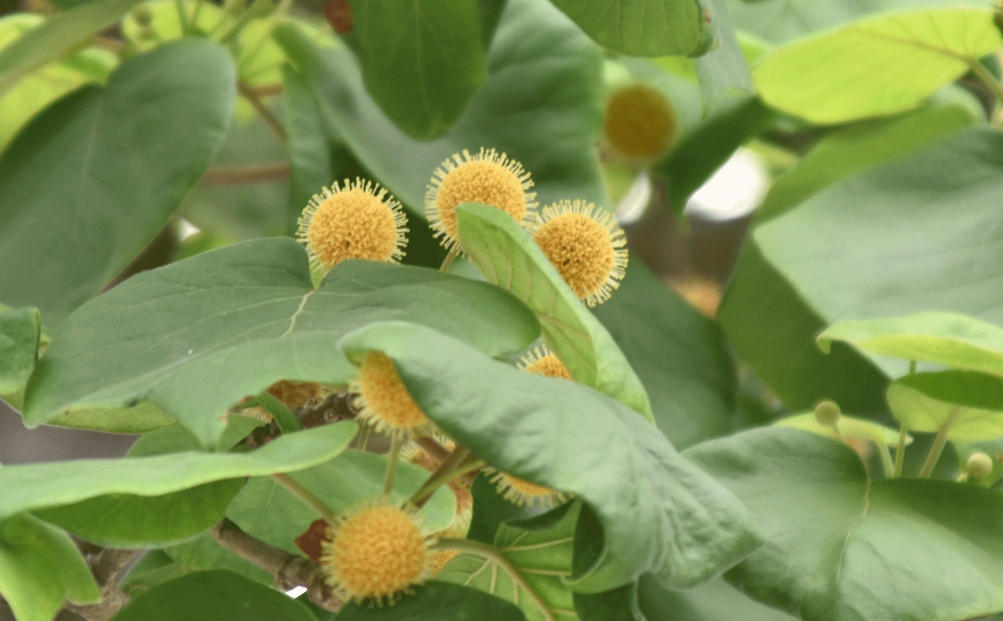 দিনের ছবি (২১ মে, ২০২৬)