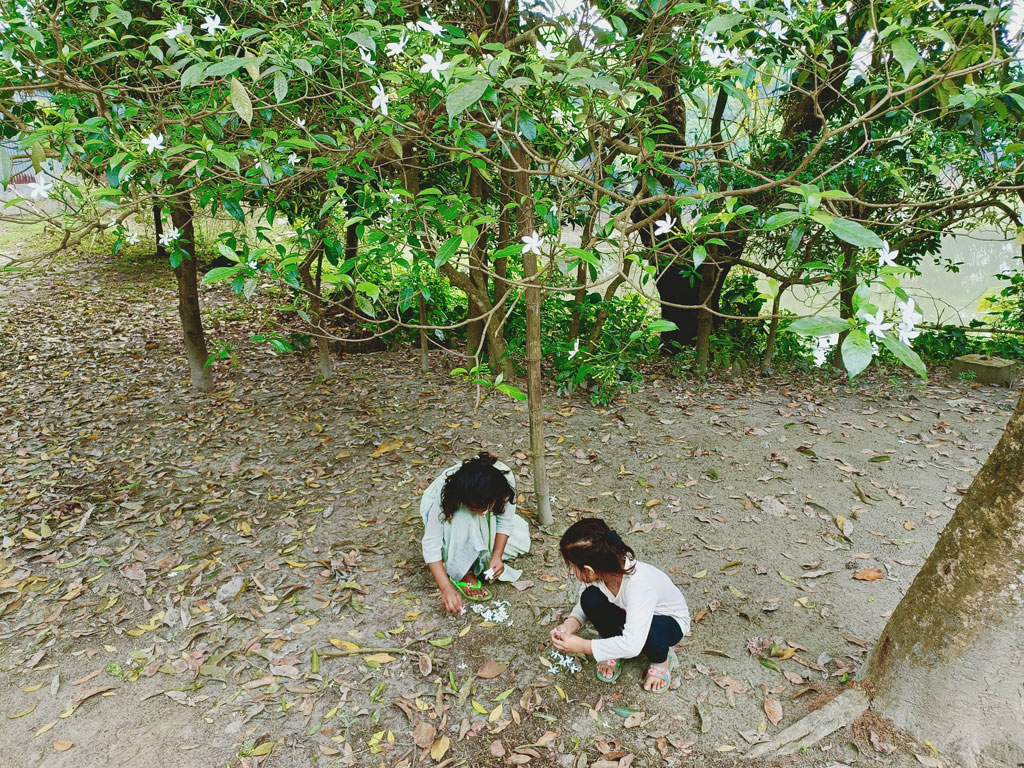 দিনের ছবি (১৯ জানুয়ারি, ২০২৬)