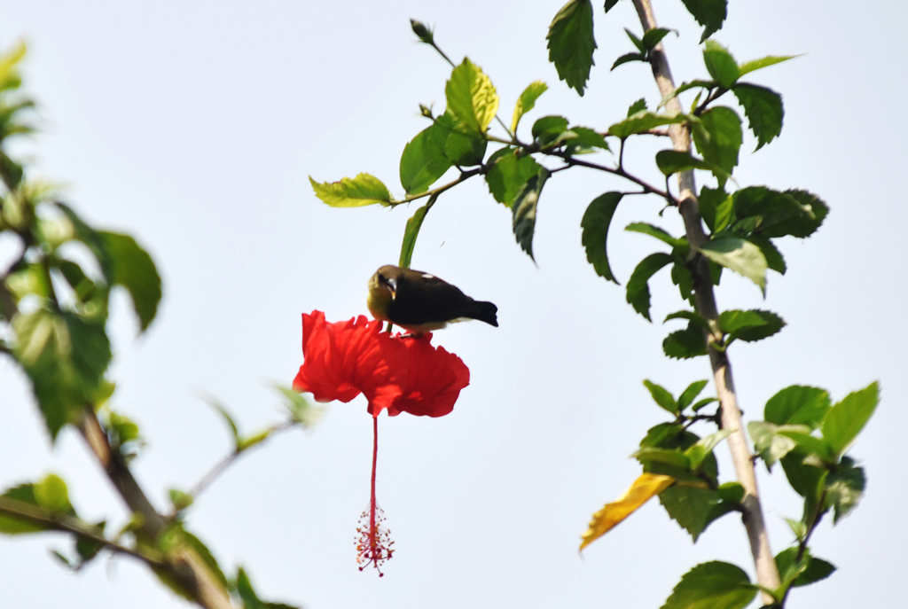 দিনের ছবি (২৮ মার্চ, ২০২৬)