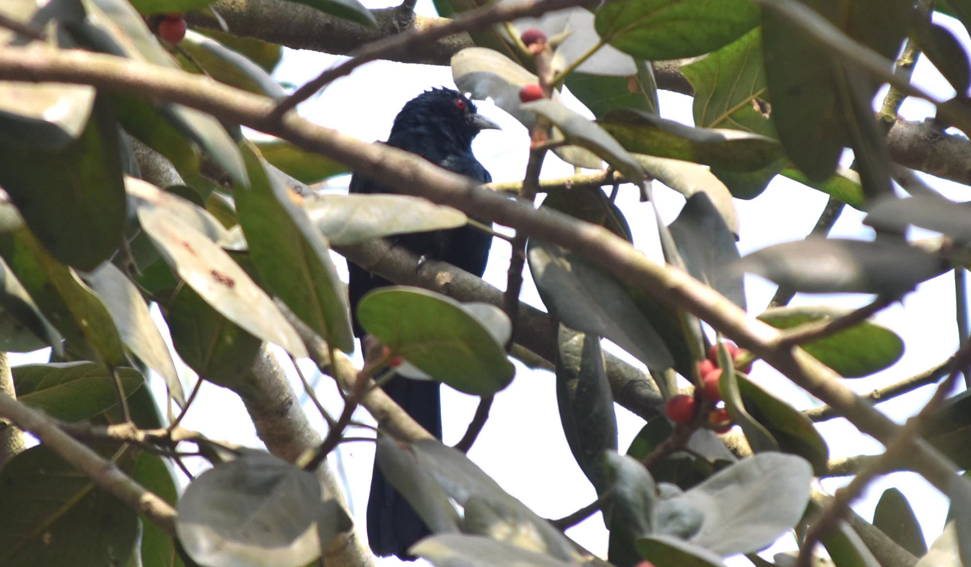 দিনের ছবি (২২ ফেব্রুয়ারি, ২০২৬)