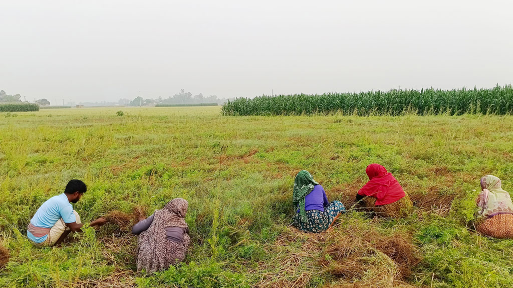 দিনের ছবি (১৮ মার্চ, ২০২৬)
