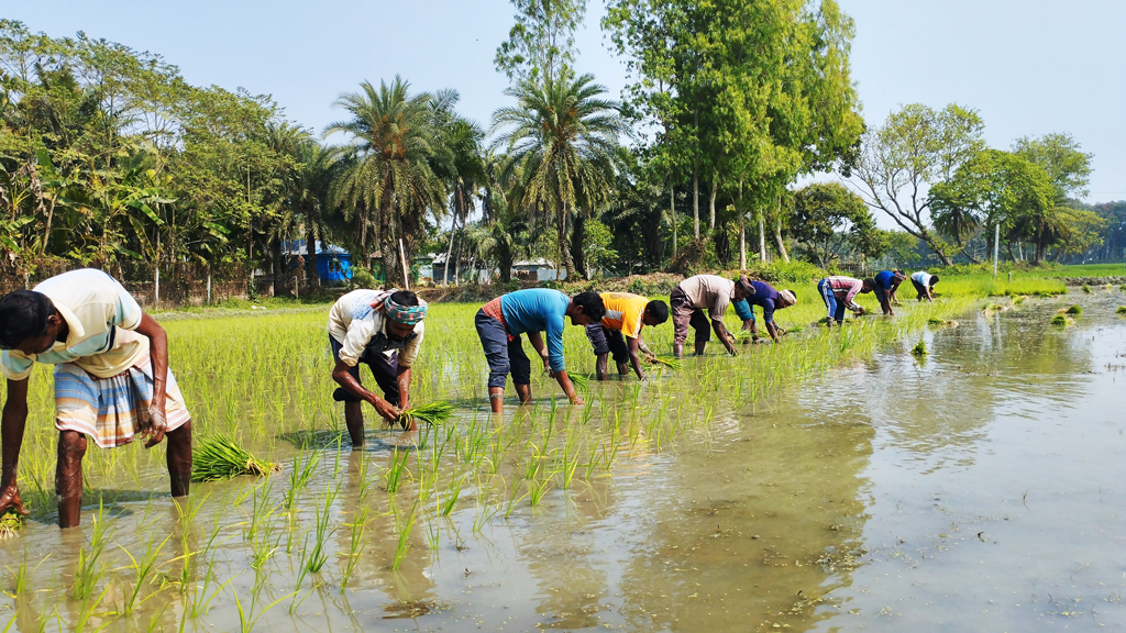 দিনের ছবি (২৮ ফেব্রুয়ারি, ২০২৬)