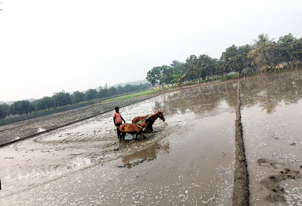 দিনের ছবি (১৪ জানুয়ারি, ২০২৬)